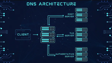 dns