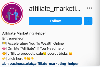 affiliate marketing bio for instagram