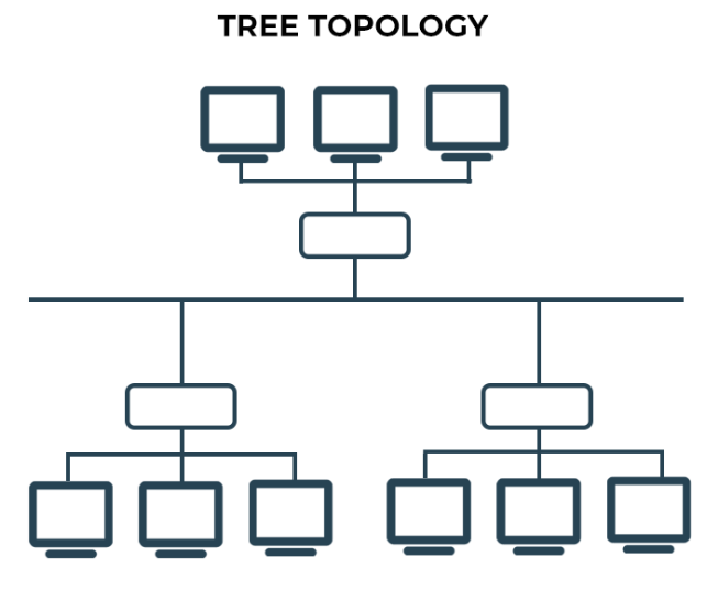 network topology types