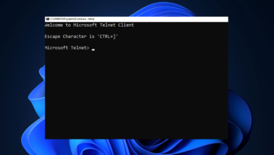 telnet commands