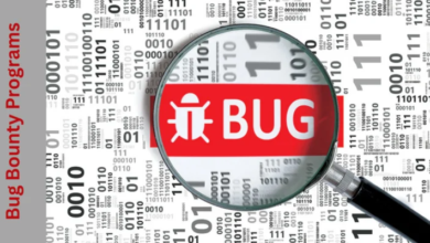 bug bounty program