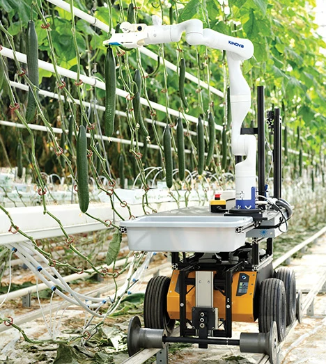 Automation in Agriculture