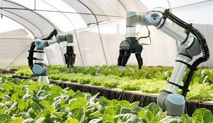 Automation in Agriculture