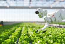 Automation in Agriculture