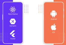 Cross-Platform App Development